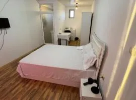 Vila cu garsoniere