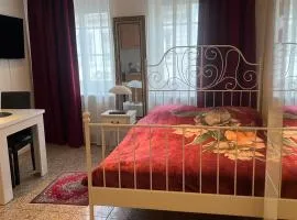 Schöne und Gemütliche Wohnung in Trier Zentrum