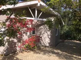 Charmante Villa en bois sur pilotis