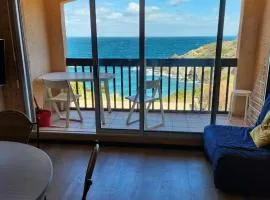 Appartement vue mer Port Vendres Collioure direct crique wifi