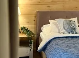 Domki w Białce pod Kotelnicą