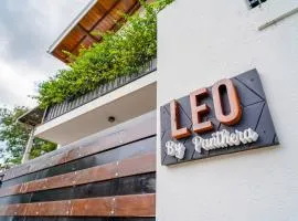Leo by Panthera