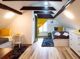 Apartment Grič with Sauna