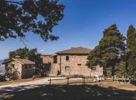 Masseria del bosco Palazzone