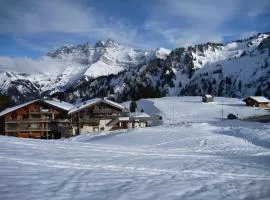 Appartement ski in and ski out
