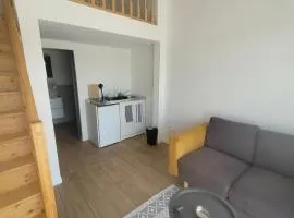 Studio Cosy - Proche MEETT 300m