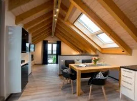 Familien- u Gruppenunterkunft Luxus-Dachloft 2 weitere Schlafzimmern