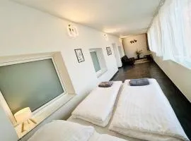 Villa Apartments with Free Parking Prague 5