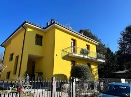Simona Francshouse