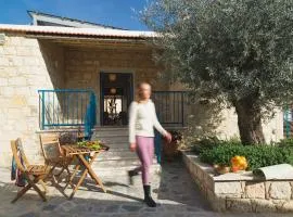 Peristerona, Olive Manor Boutique Stone- built Stay for 8 people close to Polis and Paphos