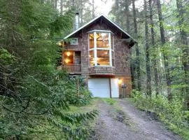 Snowline Cabin 25 - Hot Tub - Pets Ok - Wi-Fi