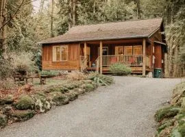 Glacier Springs Cabin 95 - Hot Tub - Wifi