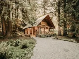 Mt Baker Rim Cabin #17 - Log Cabin - Wi-Fi - Bbq