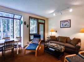 Snowater Condo 28 - Wi-Fi - Fireplace - Sleeps 4, hotel v destinaci Glacier