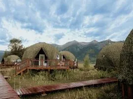 Tammah Jackson Hole