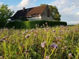 Ferienhaus Gransee unmittelbar am Stechlinsee - Radweg
