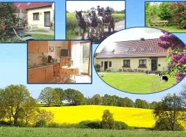 Ferienhof Winther 1