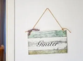 Ginster