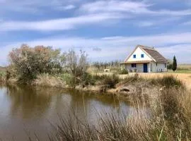 Cabane de Gardian 6 pers, nature, animaux admis, parking - FR-1-475-186