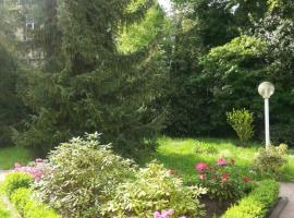 Apartment near Villa Turgenev、バーデン・バーデンの温泉宿