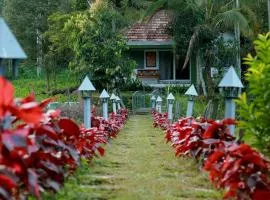 Ayurnest Pool Resort Wayanad