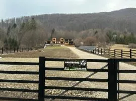 Panoramic Kub Sucevita