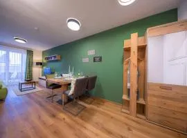Apartment in the heart of Neukirchen