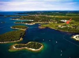 Olivia Valkanela App 2