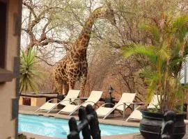 African Rock Lodge