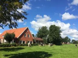 Villa für 10 Personen in Ostfriesland mit Kino, Bar, Sauna und Whirlpool