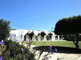 Villa Omega in Kokkali, Leros