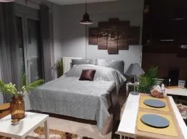 Ioannina City Studios 1
