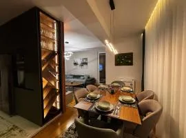 Luxury furnished apartment at the center of the city