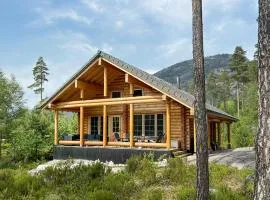 Nice Home In Vrådal With Sauna