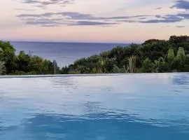 La VILLA ANKARENA Dans un domaine forestier tropical, PROPRIÉTÉ ENTIÈRE avec PISCINE PRIVEE, Wifi, TV Plage à 5 minutes à pieds