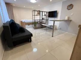 Apartments Dvory Free parking
