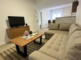 Apartment Dario