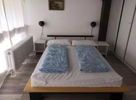 Apartment in Chiemgau near Chiemsee Lake