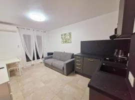 appartement 1 pégurier