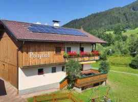 Ponyhof Wildschönau WILD4462