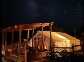 Glamping at Zion on the 9 The Dirty Dog