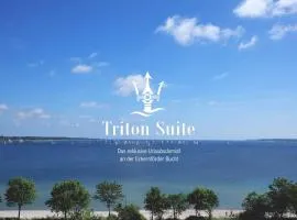 Triton Suite