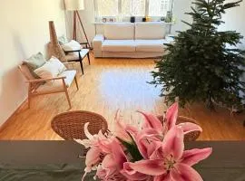 Very nice flat 80 meter from SBB
