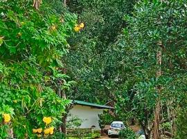 Modern Nature Retreat - Private Holiday Home in Bandarawela Hills, villa in Bandarawela