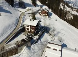 Holiday apartment near ski area