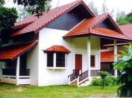 Clearwave resort Chumphon คลีนเวฟ รีสอร์ท