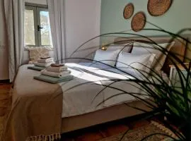Pelekanos Apartment