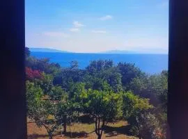 RESIDENZA LE SALINE - your family paradise