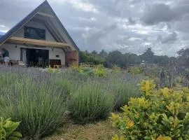 The Jbaynian Guesthouse