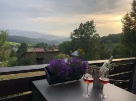 Apartment Tälerblick Maxi, neu modernisiert